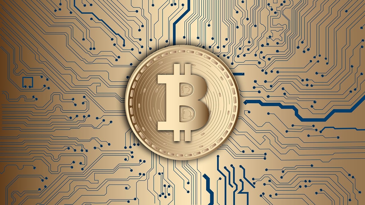 Wallet Ikigii: Una Nueva Forma de Gestionar Dólares y Bitcoin en Panamá