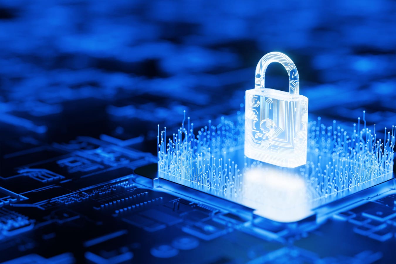 WhiteBIT se Prepara para el Futuro con Criptografía Post-Cuántica